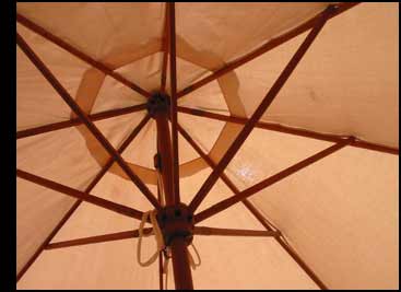 parasol